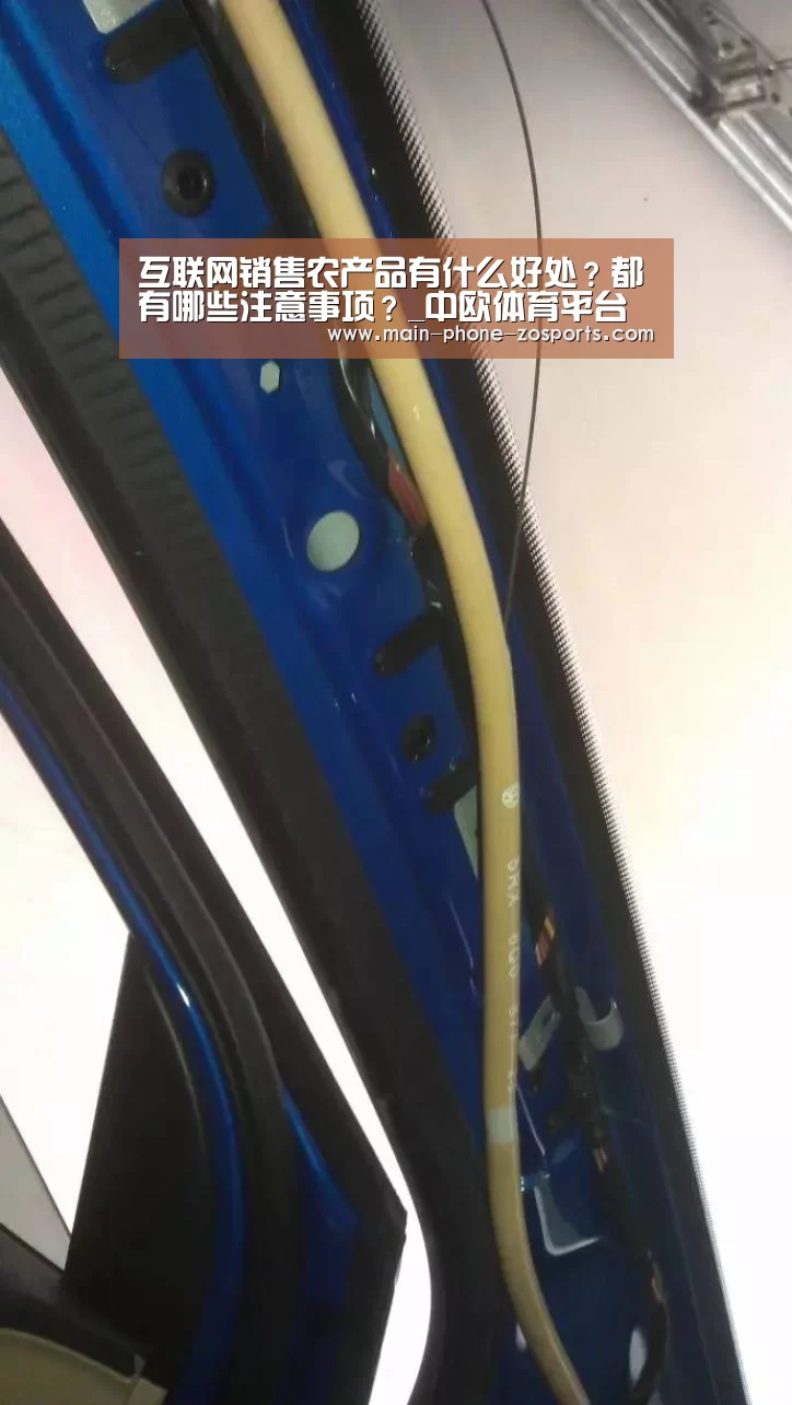 互联网销售农产品有什么好处?都有哪些注意事项?_中欧体育平台(图1) 中欧体育官网