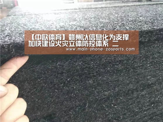 【中欧体育】赣州以信息化为支撑 加快建设火灾立体防控体系 二(图2) 中欧体育官网
