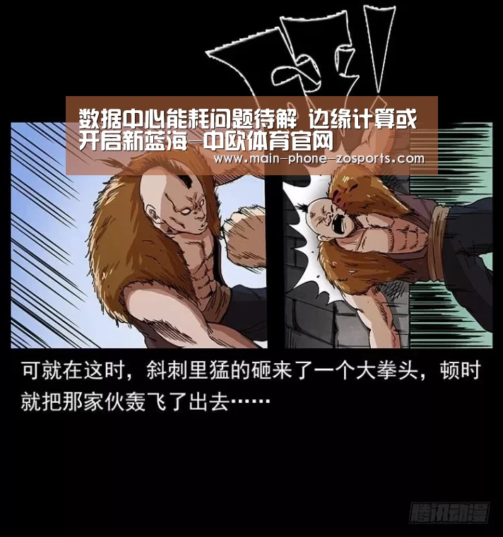 中欧体育平台
