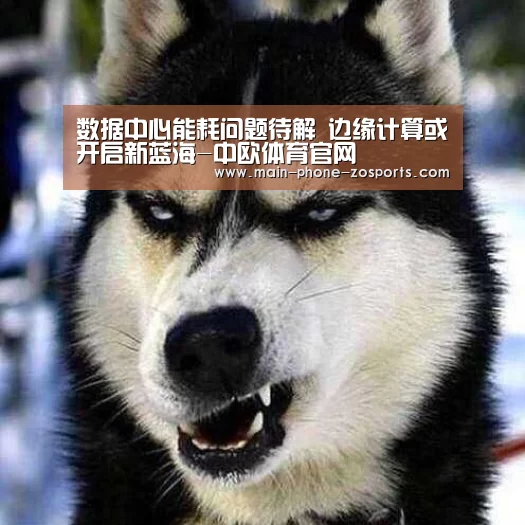 中欧体育平台