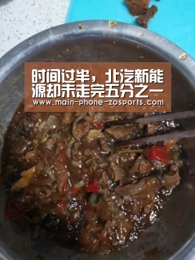 时间过半,北汽新能源却未走完五分之一-中欧体育平台(图1) 中欧体育