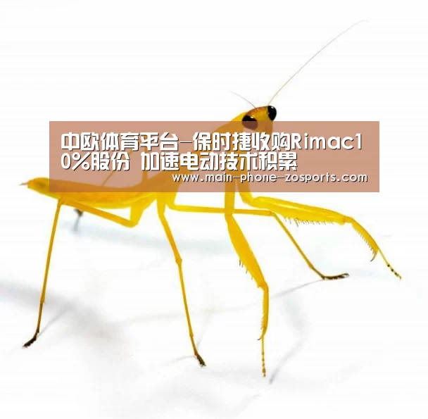 zoty体育