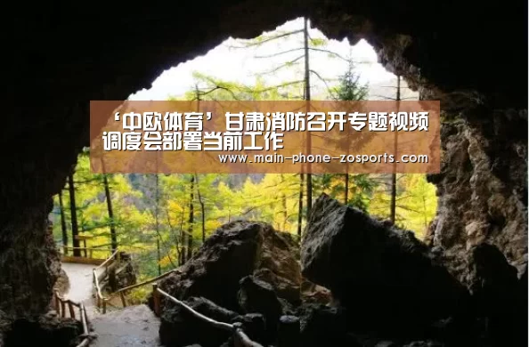 ‘中欧体育’甘肃消防召开专题视频调度会部署当前工作(图3) 中欧体育