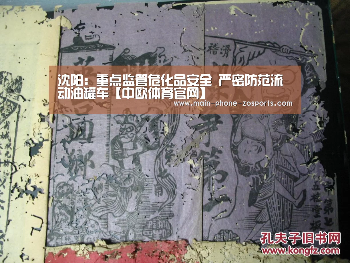 中欧体育