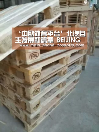 ‘中欧体育平台’北汽自主发展新篇章 BEIJING品牌正式发布(图4) 中欧体育平台