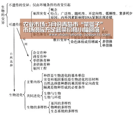 农业市场:3月份青岛市“菜篮子”市场供应充足蔬菜价格小幅回落‘中欧体育官网’(图4) zoty体育