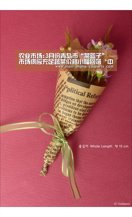 农业市场:3月份青岛市“菜篮子”市场供应充足蔬菜价格小幅回落‘中欧体育官网’(图2) 中欧体育官网