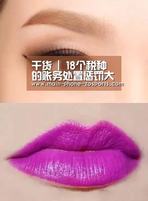 干货 | 18个税种的账务处置惩罚大全,会计人请收藏!(二)|zoty体育(图1) 中欧体育