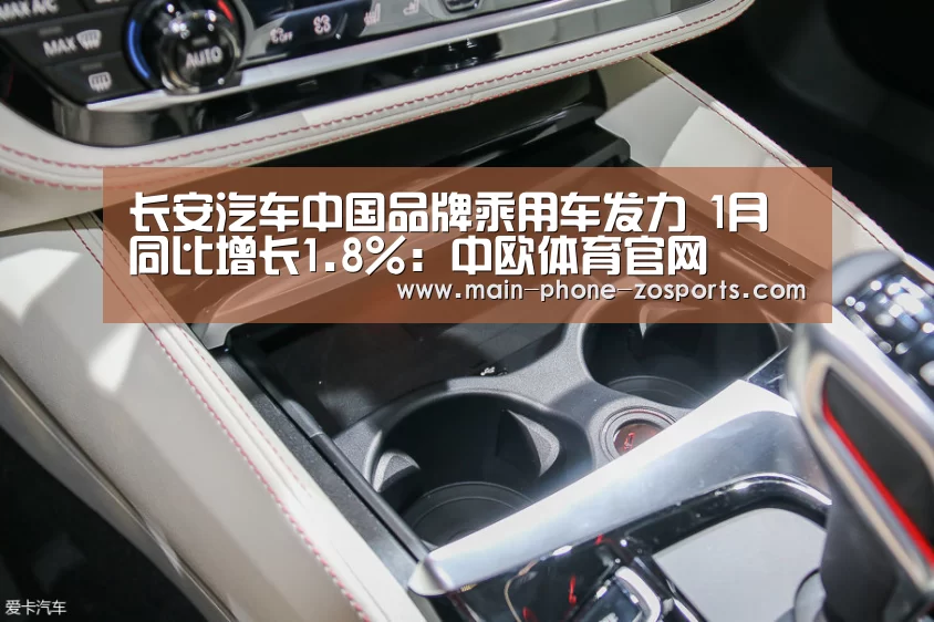 中欧体育