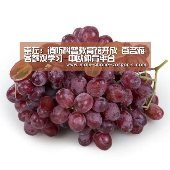 zoty体育